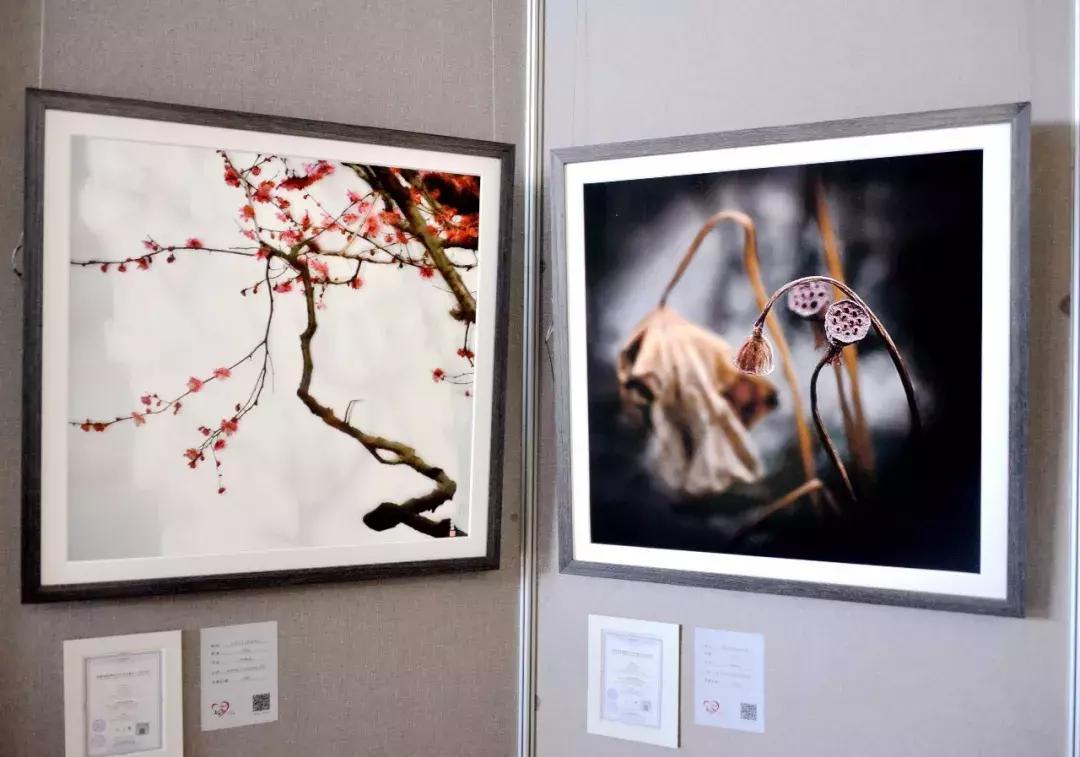 早春三月,金鹰湖畔,“爱的奉献”,与你相约......