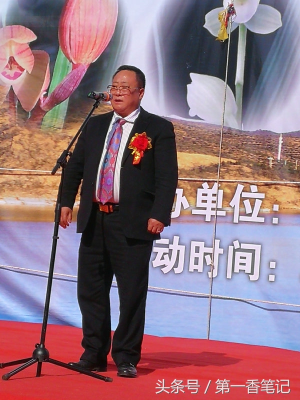 2020年云南兰花展获奖图片,2018年昆明兰花展精品图片