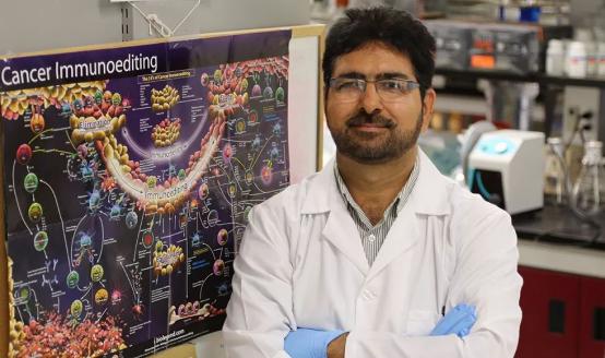 脐带血nk干细胞,脐带血nk细胞免疫疗法