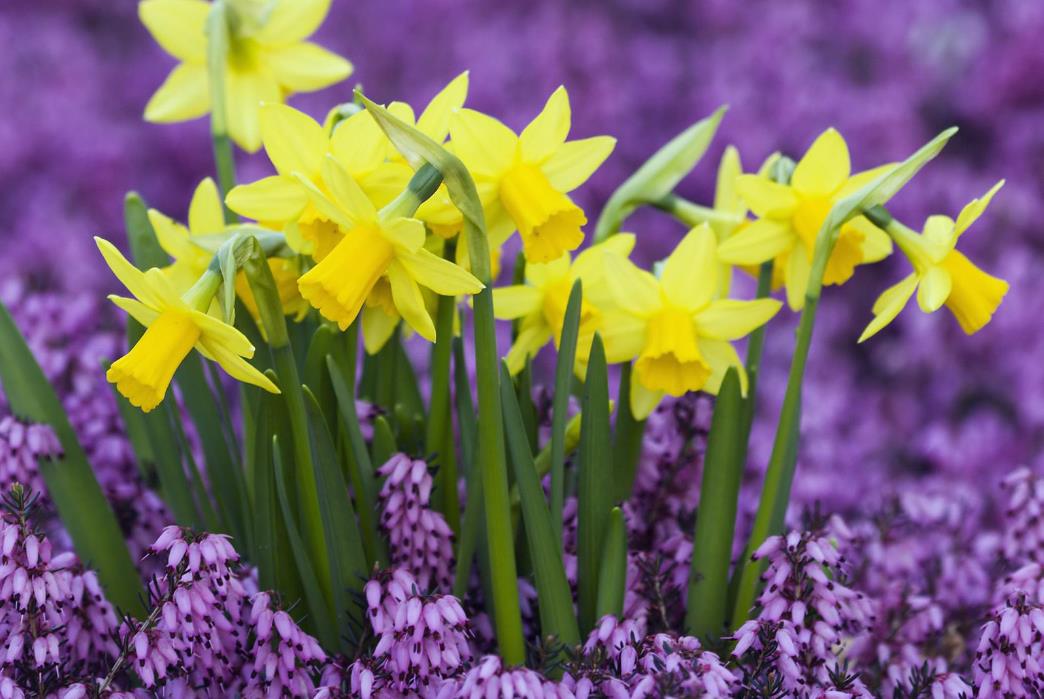 让生活过得活色生香,让你的生活香起来