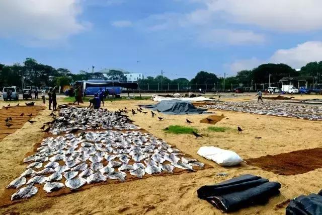 不用签证又不贵的旅游国家,无需签证小众旅游国家