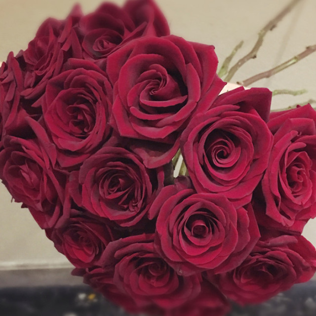 如何养花店买的玫瑰花,如何能养出和花店一样的玫瑰花