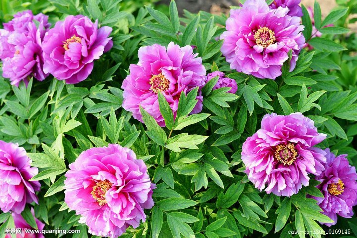 今天29，打开就能幸福久久！幸福相册！请收下给你的祝福哦