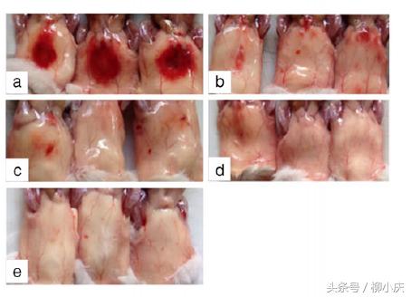 转基因植物可用来生产抗体吗,转基因植物有什么药用价值