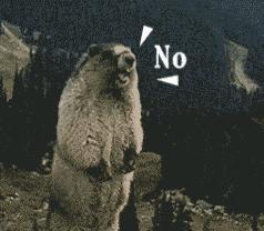 宇宙第一区深圳南山区房价,宇宙第一城