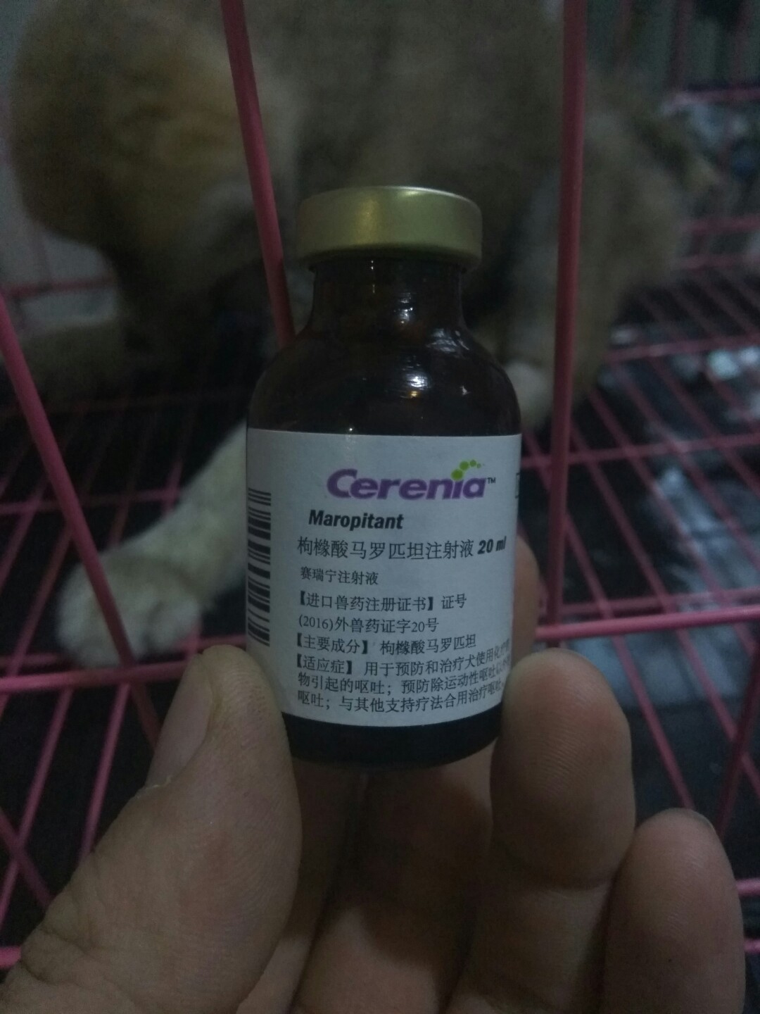 犬细小病毒治疗简单方法,犬细小病毒治疗后期康复