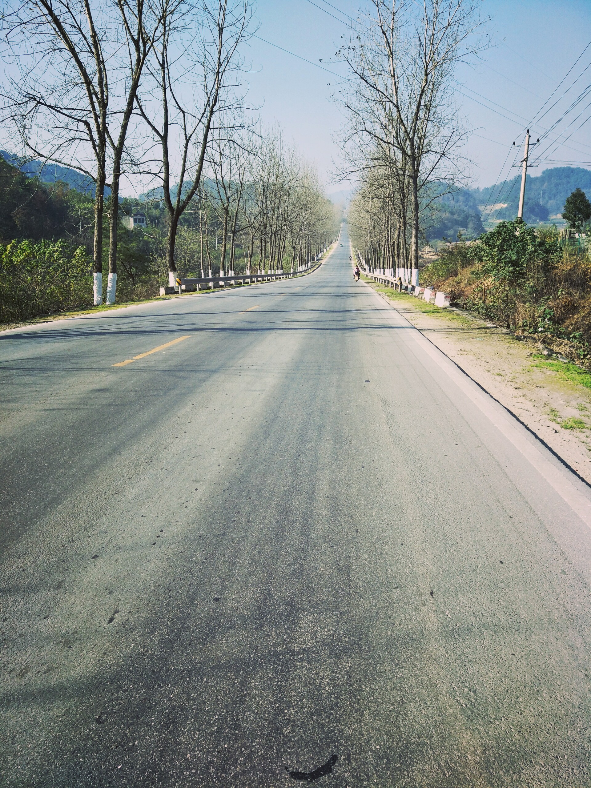 三阳飞度fiddle3摩托车,三阳摩托fiddle3