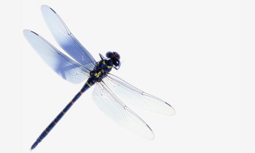 霸屏股票代码,独角兽a股受益股票