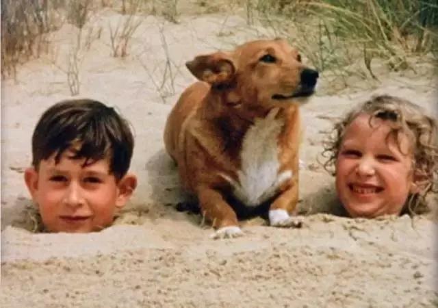 相信我，这一定是朋友圈里最珍贵的照片！