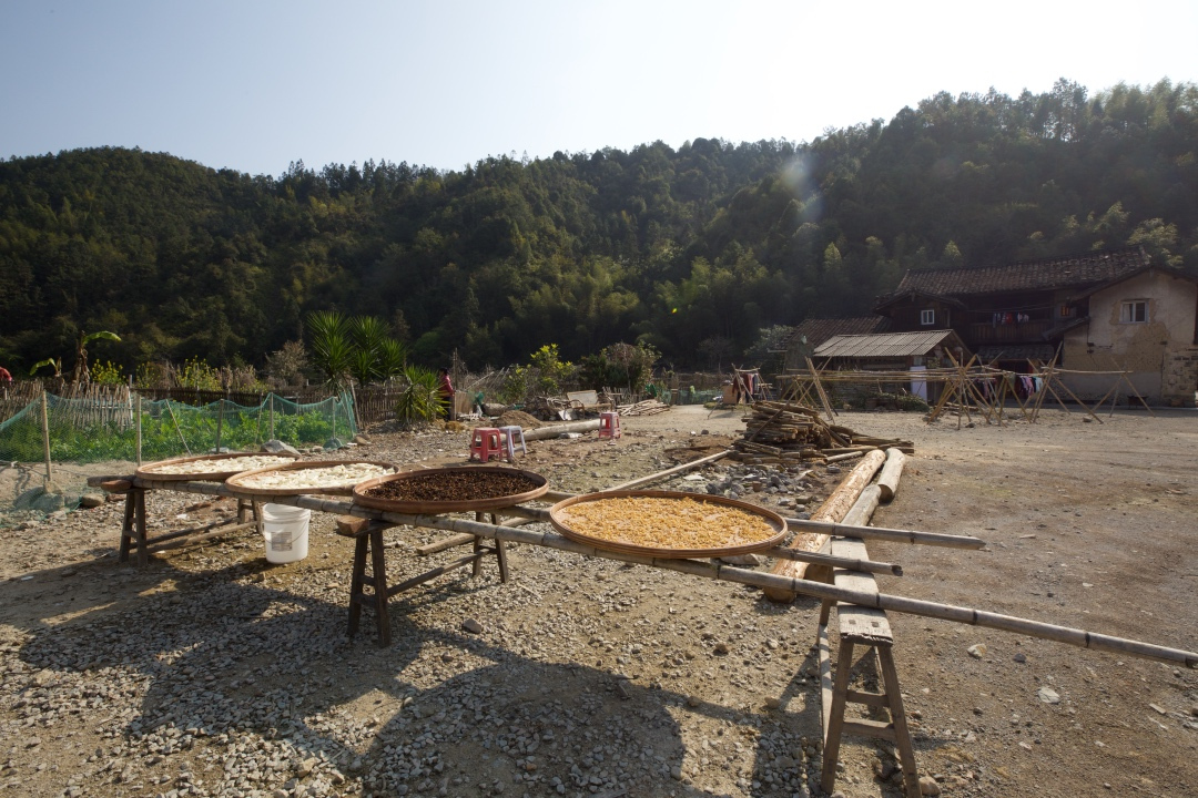 福建永定土楼之旅,去福建土楼看什么