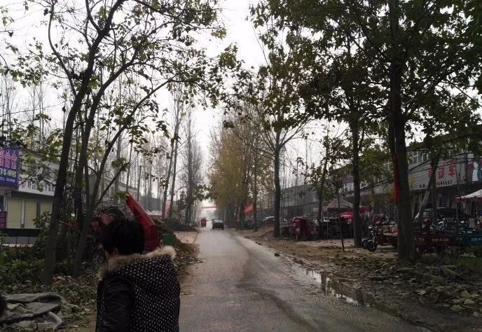 许田围猎真有吗,许田围猎曹操视频