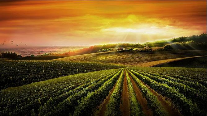 锐评威廉古堡,锐评国货