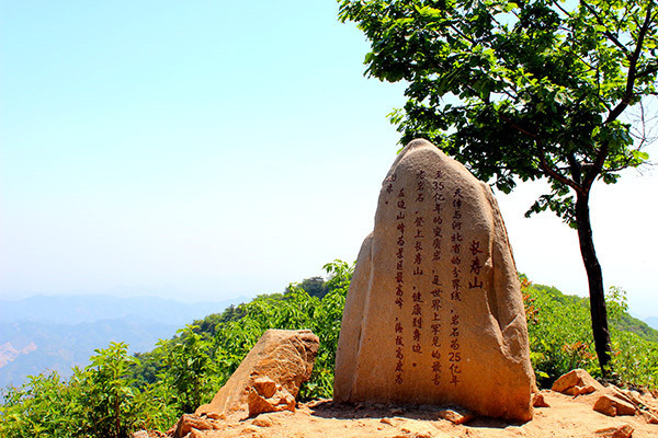 天津适合春游的公园,踏着欢快的脚步