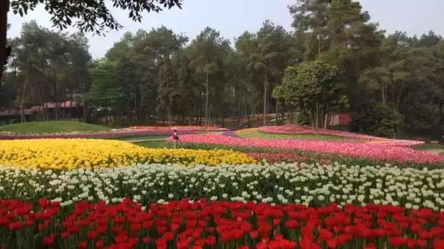 石象湖踏青,蒲江石象湖门票价格多少