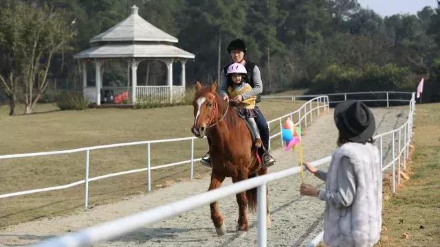石象湖踏青,蒲江石象湖门票价格多少