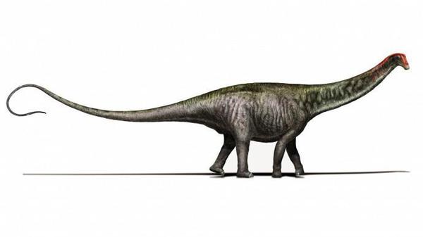 恐龙的名字和叫法,恐龙名称的来历