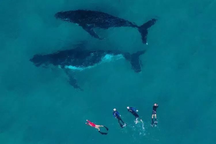 30种在地球“浪”的方式，做过10件，算你牛！