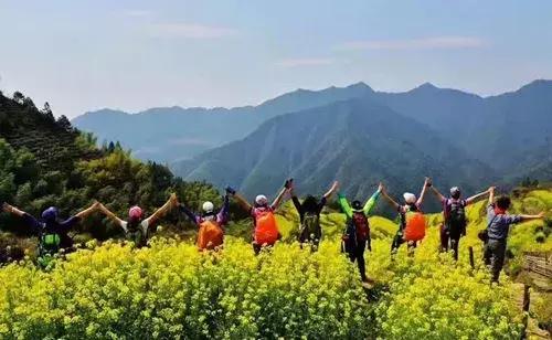 油菜花旅游黄山,黄山油菜花哪里看