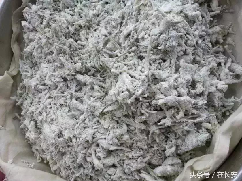 西安长安挖野菜最好的地方,长安哪里挖野菜好吃