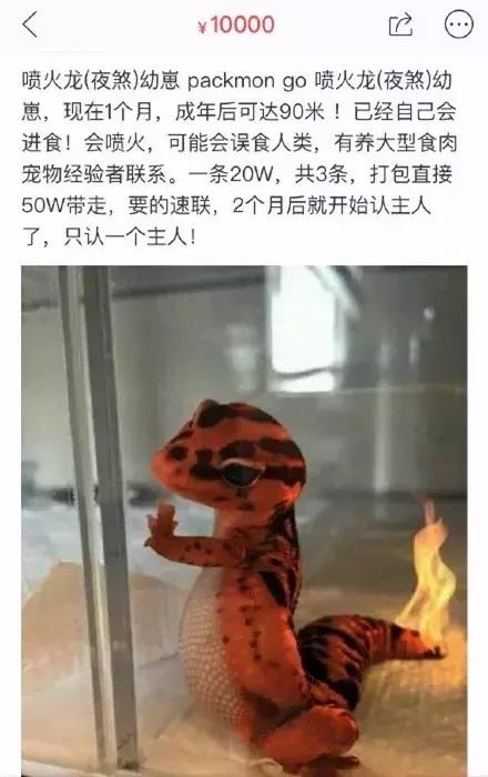 闲鱼上低价商品靠谱吗,某鱼买家下单联系不上买家怎么办