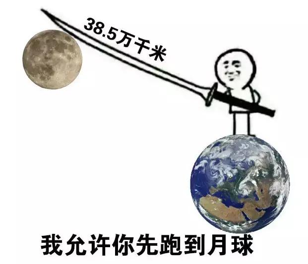 谁给你的勇气卖假药，3.15宠物行业也有血雨腥风