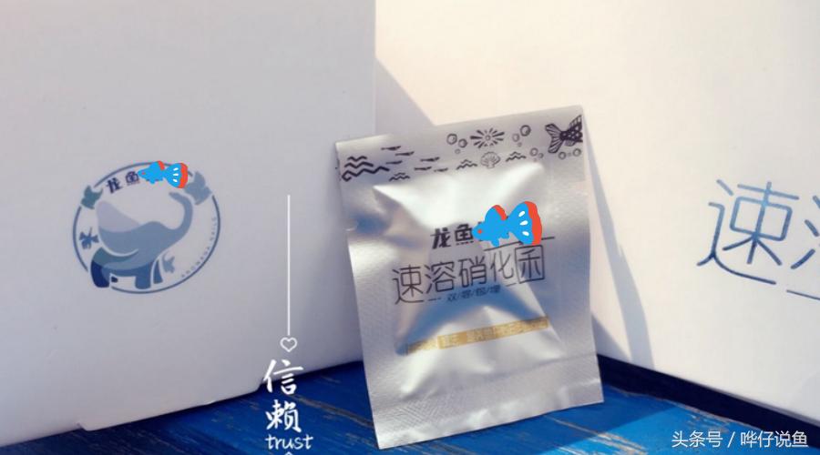 不加硝化细菌新鱼缸能养鱼吗,鱼缸如何不用硝化细菌养鱼