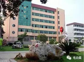 陈卫民：斗鸡（散文）