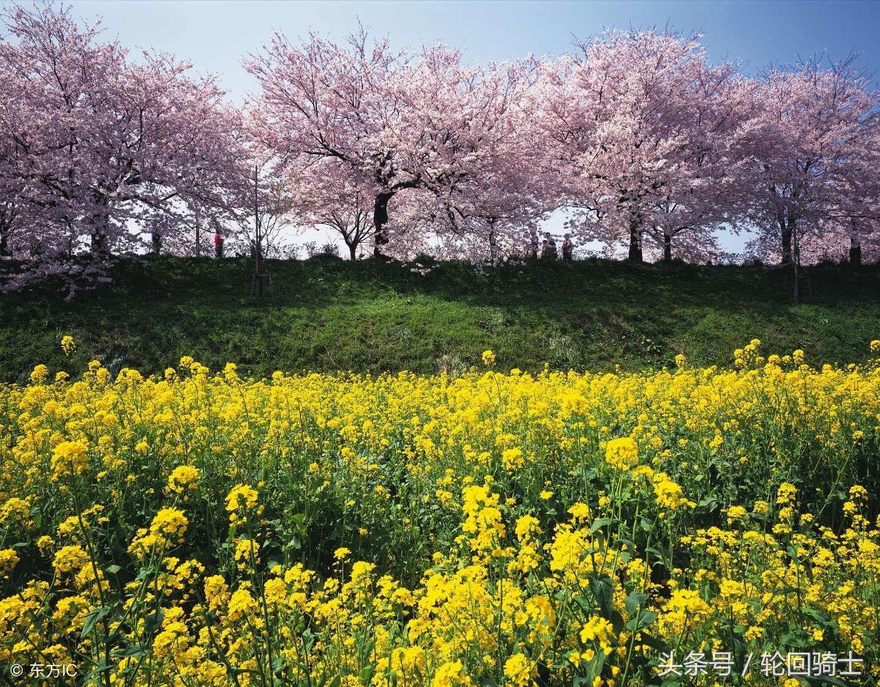 办公室风水的布局知识,2018办公室风水知识大全