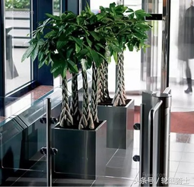 办公室风水的布局知识,2018办公室风水知识大全