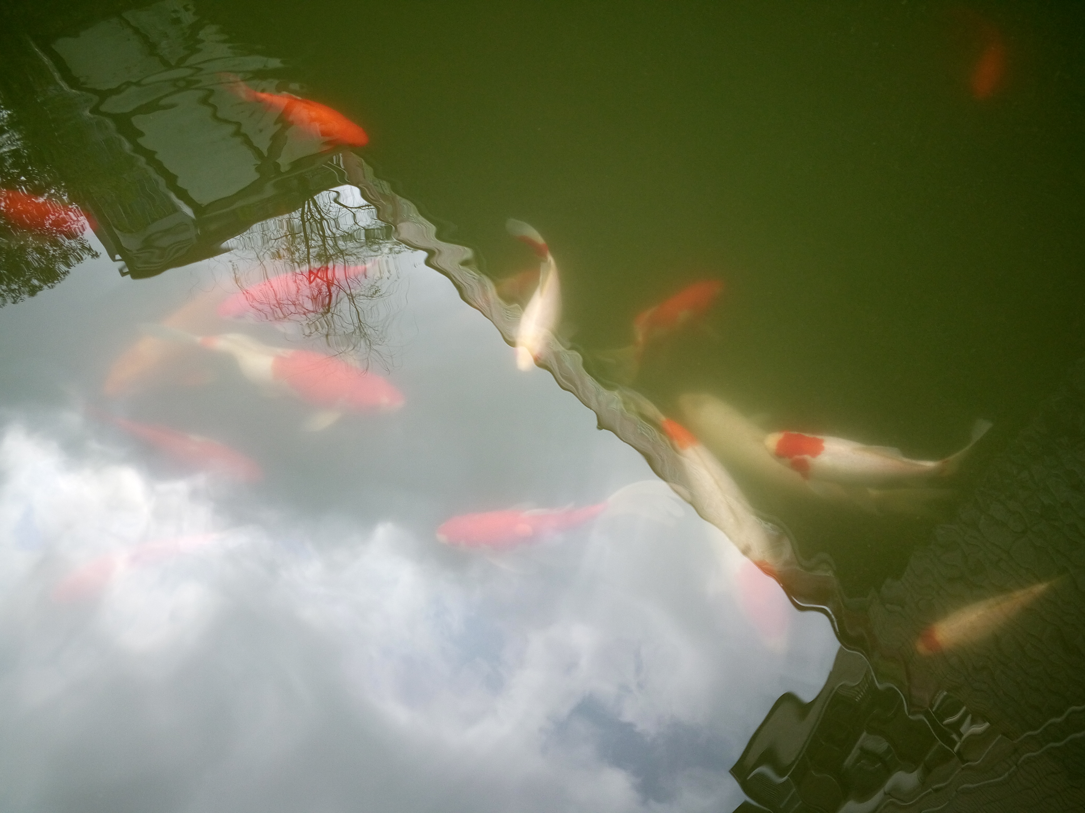 女人请好好爱自己完整版,学会好好爱自己图片