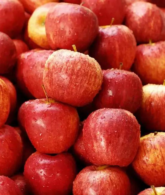 三月是吃什么水果的季节,各种水果在哪个时间段吃最好