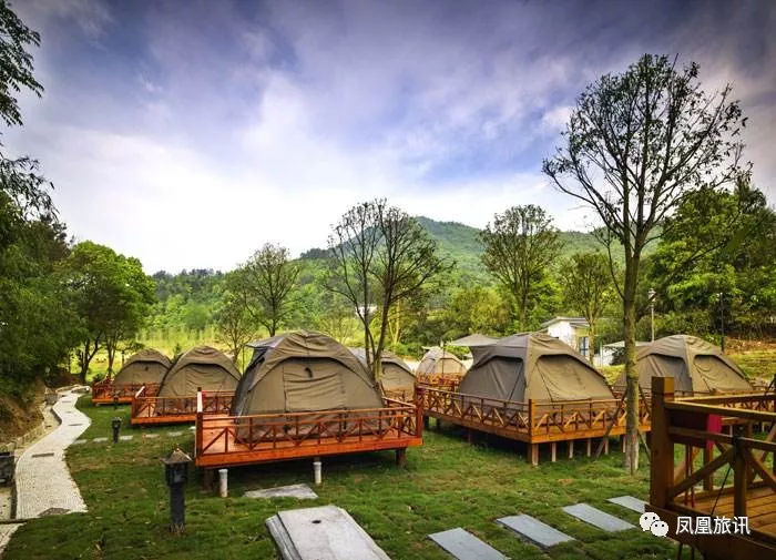 地铁可以带金鱼上去吗,武汉金鱼能不能带上地铁