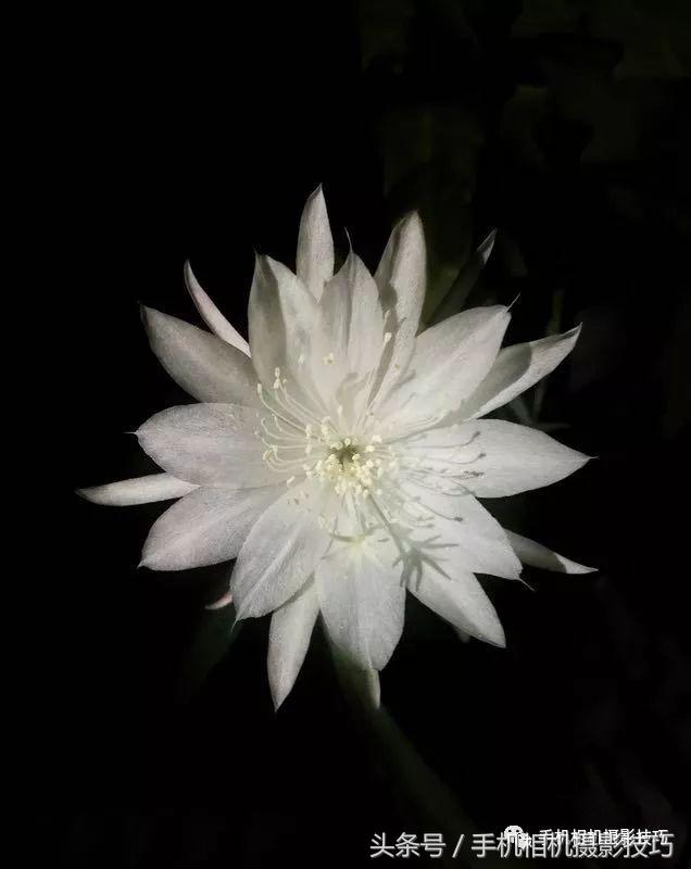 动动手指就能做出美丽的作品,动动手指头就能找到照片的乐趣