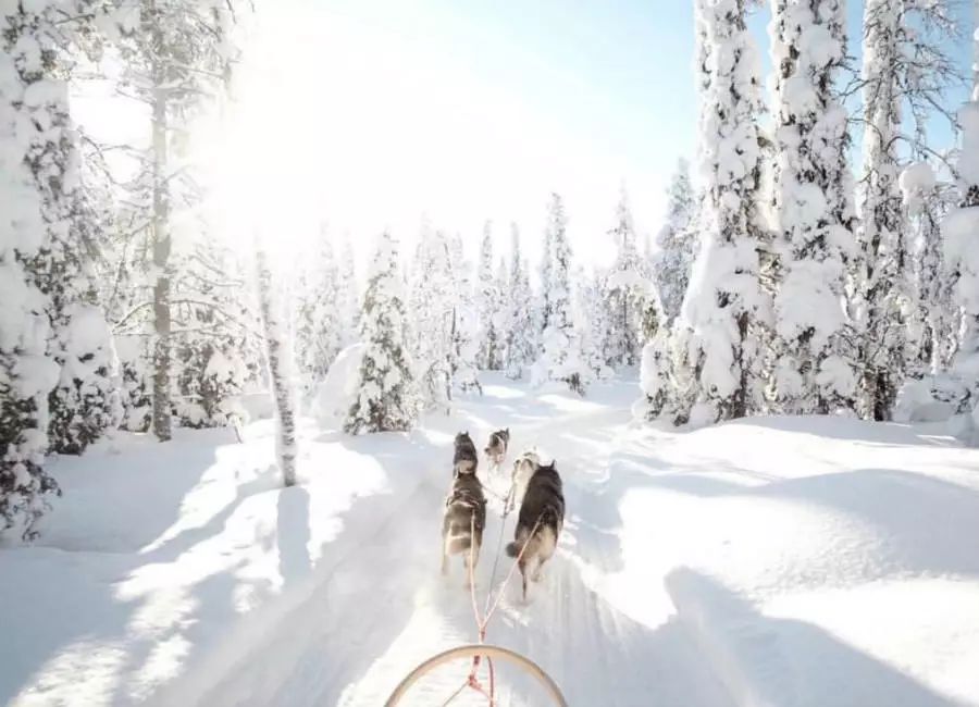 带一本书去欧洲,去芬兰可以带书吗