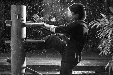 咏春拳18手快速打法,咏春拳的打法有几种