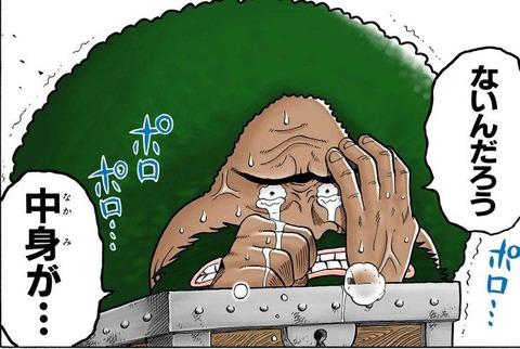 海贼王中onepiece的意思,海贼王里的onepiece是什么