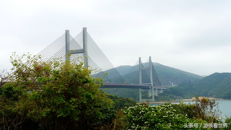 一岛三桥：宁静迷人的香港马湾岛眺望汀九青马汲水门大桥