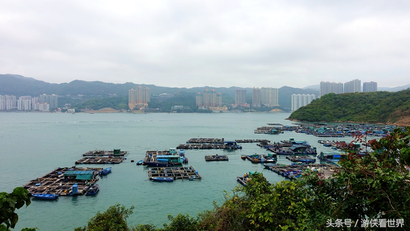 一岛三桥：宁静迷人的香港马湾岛眺望汀九青马汲水门大桥