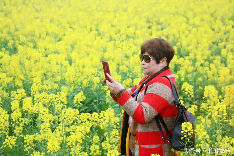 “健康微马，大美湘潭”-湘潭县微马协会为全域旅游振臂欢呼