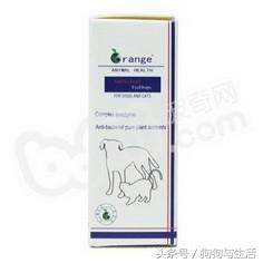 狗狗得了犬第三眼睑增生的症状及诊治