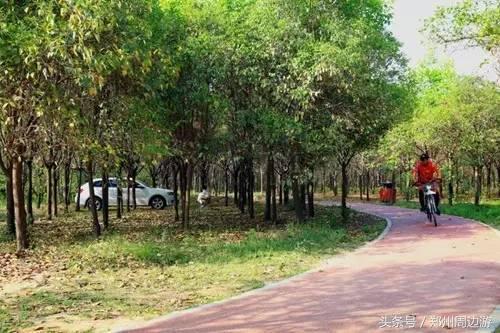 郑州人真正的后花园,郑州人少环境好的地方