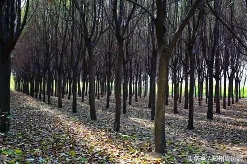 郑州人真正的后花园,郑州人少环境好的地方