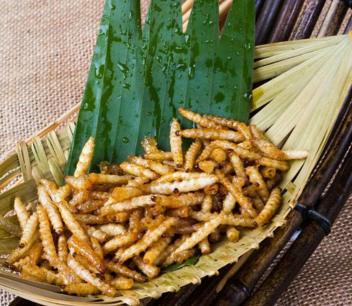 农村常吃的十种虫子,中国可以吃的六种虫子你敢吃吗