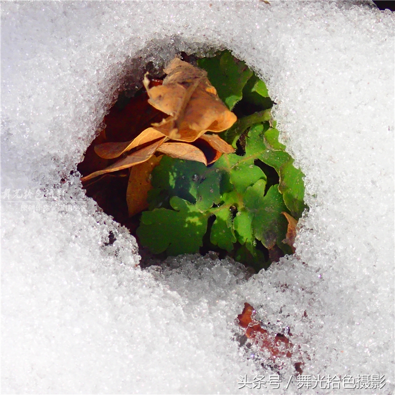 本溪关门山徒步攻略,边走边拍风景视频素材
