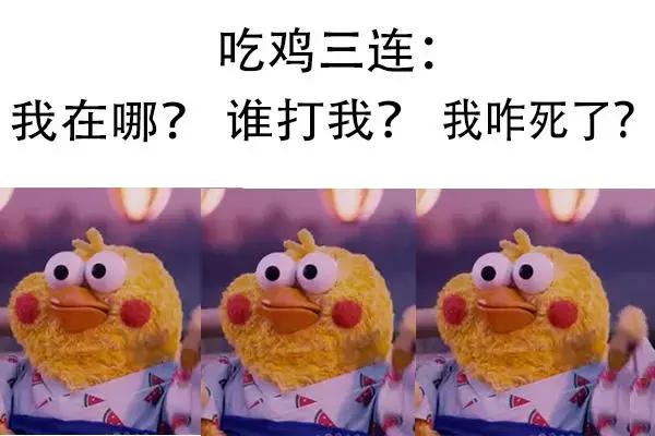 吃鸡外挂深度解析,吃鸡外挂成功案例