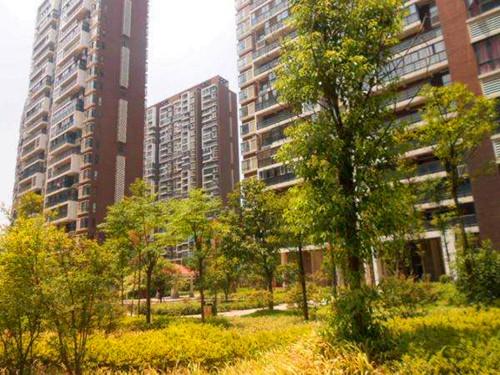 长沙青园小学北校区周边有哪些楼盘?来看综合测评分析