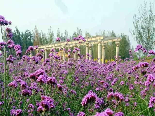 十二星座最适合去的地方苏州,最适合十二星座旅游的城市