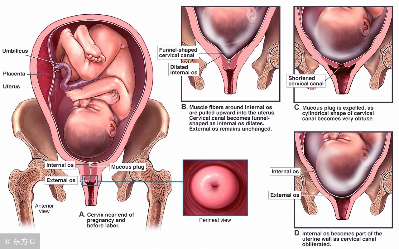 孕期记录32周难熬的孕晚期,孕晚期28-30周的普通产检做什么