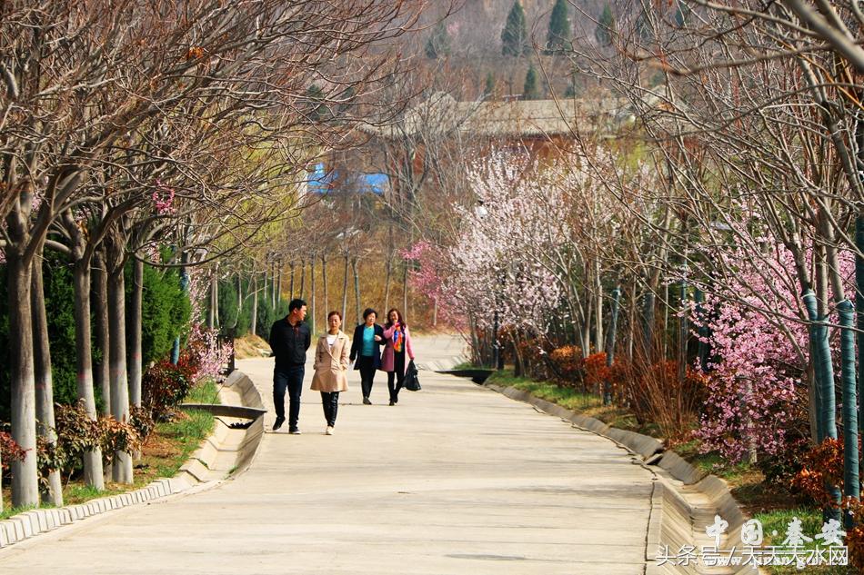 秦安:芳蕊遍地蜜蜂闹*光春**明媚凤山娇
