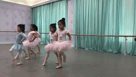 郑州芭蕾舞艺考培训学校有哪些,郑州最好的芭蕾舞学校